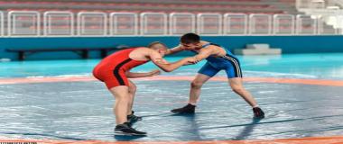 运动员代言项目执行